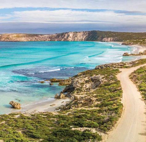 Best Beaches In Australia, King Island, Eyre Peninsula, Kangaroo Island Australia, Coral Coast Western Australia, Australia Kangaroo, The Great Ocean Road Australia, Kangaroo Island, Road Trip Places