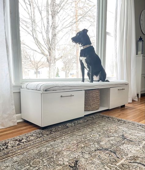 Dog Beds Under Desk, Pet Window Seat Dogs, Window Nook For Dog, Raised Dog Bed For Window, Diy Window Seat For Dog, Dog Bench Bed, Window Bench Ideas Living Room, Dog Bed By Window, Window Bed For Dog