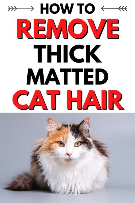 Matted Cat Fur, Laser Hair Removal Men, Waxing Vs Shaving, Cat Owner Tips, Natural Hair Removal Remedies, Cat Life Hacks, Lip Hair Removal, Cat Information, Natural Pet Care