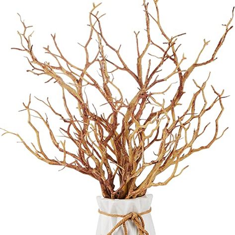 Dried Tree Branches, Manzanita Branches, Dry Tree, Branches Diy, Twig Branch, Pond Landscaping, Dry Plants, Branch Decor, Baby Shower Party Supplies