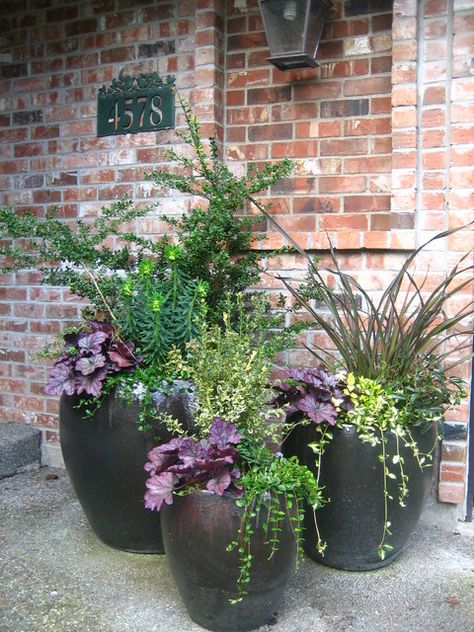 Winter Flower Container Ideas, Fall Potted Plants Planters, Fall To Winter Planters, Winter Container Garden, Fall Shade Containers, Fall Container Ideas, Shade Planters Ideas Front Porches, Fall Pots Outdoor Planters, Winter Containers Planters