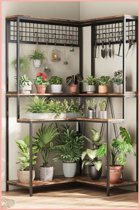 Corner shelf unit with various potted plants and gardening tools. Indoor Corner Plant Stand, Tall Corner Shelf, Corner Plant Stand, Tall Indoor Plants, Indoor Plant Stand, Apartment Designs, Pot Organization, Garden Plant Stand, Corner Plant