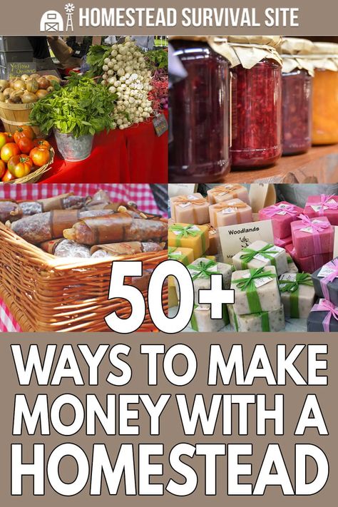 Making Money From Homestead, Homestead Items To Sell, Homesteading Business Ideas, Homestead Money Making Ideas, Food To Sell Ideas Make Money, Agritourism Ideas, Make Money Homesteading, Homesteading Recipes, Small Homestead