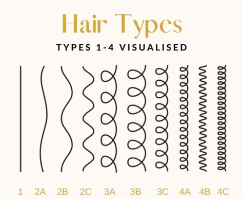 Different Hair Types Chart, Hair Types Chart, Hair Texture Chart, English Presentation, Hair Type Chart, Hair Chart, Hairstyle Names, Curly Hair Types, Types Of Hair