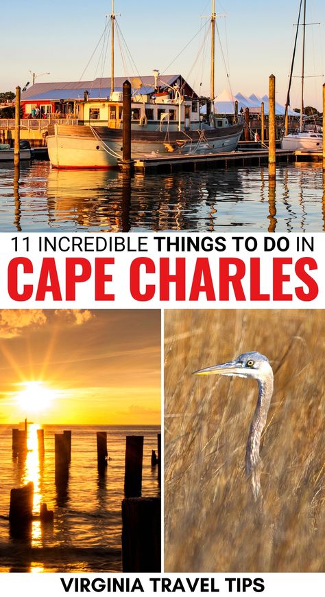 Are you traveling to the Eastern Shore and are looking for the best things to do in Cape Charles VA? This guide details what to do, where to stay, and more! | Cape Charles VA | Eastern Shore Virginia | Places to visit in Virginia | Cape Charles things to do | Tidewater Virginia | Things to do in Virginia | Beaches in Virginia | Kiptopeke State Park Virginia | Savage Neck Dunes Virginia | Virginia history | Chesapeake Bay Virginia Chesapeake Bay Virginia, Eastern Shore Virginia, Visiting Virginia, Places To Visit In Virginia, Eastern Shore Of Virginia, What To Do In Virginia Beach, Beaches In Virginia, Cape Charles Virginia, Kiptopeke State Park Virginia