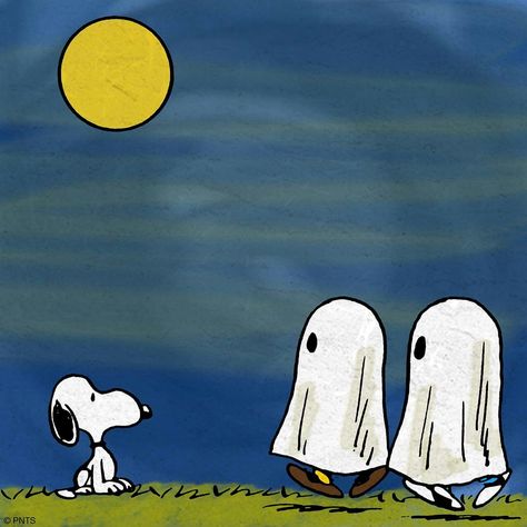 Snoopy checking out two of the Peanuts gang dressed as ghosts on Halloween night. Peanut Gang, Great Pumpkin Charlie Brown, Charlie Brown Halloween, Peanuts Halloween, Snoopy Halloween, Hacks Beauty, Peanuts Cartoon, Snoop Dog, The Peanuts