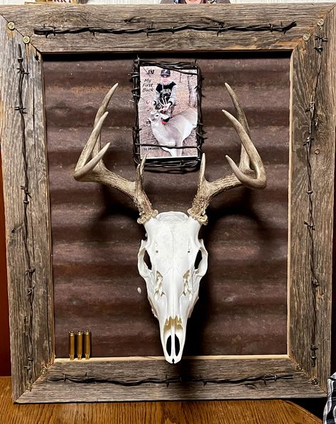 Deer European Mount, European Deer Mount, European Mount Ideas, Deer Mount Decor, Deer Mount Ideas, Euro Mounts, Elk Pictures, Deer Skull Art, Turkey Fan