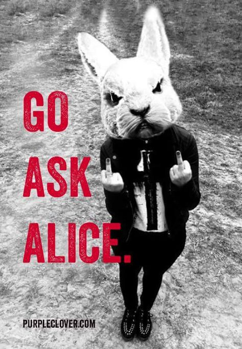 Images Pop Art, Go Ask Alice, Alice And Wonderland Quotes, Wonderland Quotes, Sarcastic Quotes Funny, Last Days, Arte Fantasy, Sarcastic Quotes, Love Affair