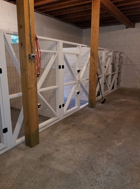 Dog Room In Basement, Animal Kennel Ideas, Dog Boarding Shed, Dog Boarding Kennel Ideas, Dog Basement, Dog Kennel Room Ideas, Dog Kennel Facility, Doggie Daycare Ideas Design, Small Dog Boarding Facility