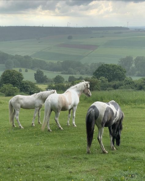 life on the countryside 🌿 #aesthetic #leonaph #photodump #countryside American Countryside Aesthetic, France Aesthetic Countryside, England Countryside Aesthetic, Paris Countryside, Country Side Aesthetic, French Countryside Aesthetic, Uk Vibes, French Countryside Home, English Countryside Aesthetic