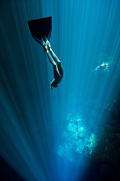 Credit: Eusebio Saenz de Santamaria The depth of these cenotes is often unknown due to the swirling white halocline that hovers at around 30... Wow Photo, Sea Diving, Under The Water, Ocean Depth, Free Diving, Underwater Photos, Deep Blue Sea, Extreme Sports, Underwater Photography