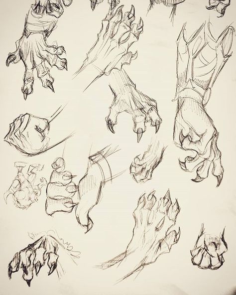 Werewolf Drawing, Hand Sketches, Dinosaur Illustration, Dragon Sketch, Hand Drawing Reference, Werewolf Art, Illustration Art Drawing, Creature Drawings, Anatomy Drawing