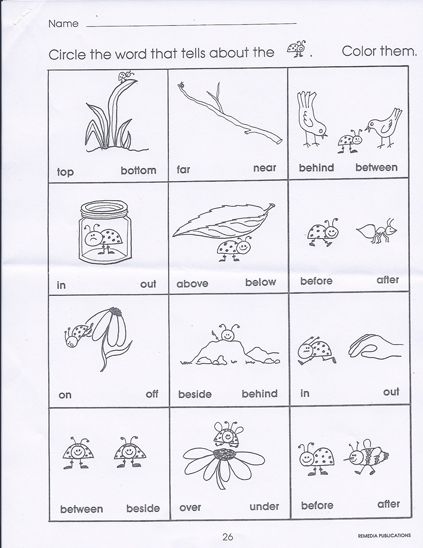 Position Word Worksheets For Kindergarten Position Words Worksheet, Positional Words Worksheet, Word Worksheets For Kindergarten, Positional Words Kindergarten, Middle School Grammar Worksheets, Sight Word Worksheets Free, Positional Words, Teaching Worksheets, Worksheet For Kindergarten