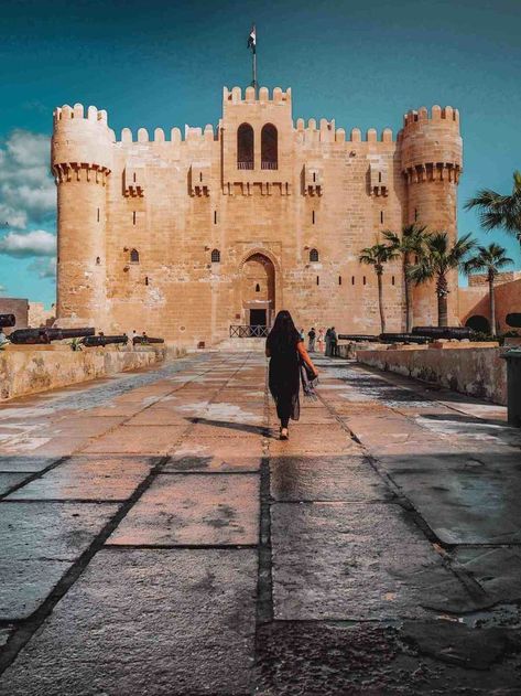 instagram spots in alexandria egypt #travelplanning #photo #photography #instapic #instavacation #vacation #travelgirl #travelguide #travel #instagramspots #instagram #travelphotography #instagrammable #instagrammableplaces  #photographyguide #instaworthy #travelblogger Alexandria City, Library Of Alexandria, Luxor Temple, The Great Fire, Alexandria Egypt, Visit Egypt, Valley Of The Kings, Photography Guide, The Embrace