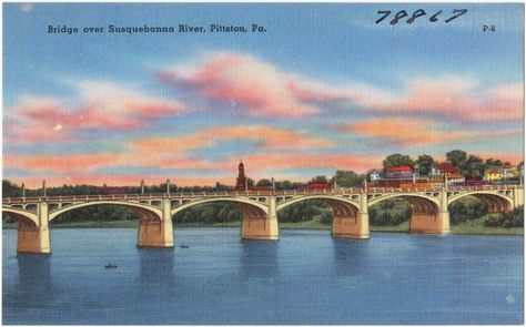 Wilkes Barre Pennsylvania, Susquehanna River, Boston Public Library, Nursing Tips, Linen Texture, Post Card, Vintage Postcards, Public Library, Family History