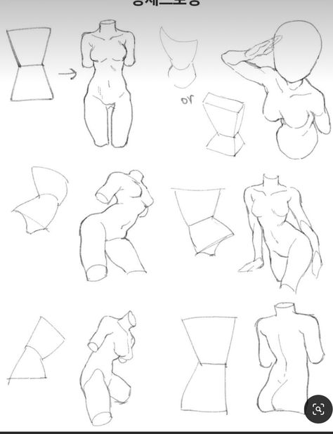 Torso Studies, Illustration Anatomy, Body Type Drawing, Human Body Drawing, Drawing Female Body, Female Torso, Human Anatomy Drawing, Body Drawing Tutorial, Anatomy Sketches