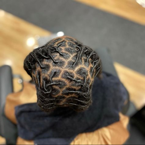 Barrel Rolls On Locs Men, Barrel Rolls On Locs, Mens Twists, Locs Men, Dread Ideas, Black Haircuts, Male Hairstyle, Black Boy Hairstyles, Loc Nation