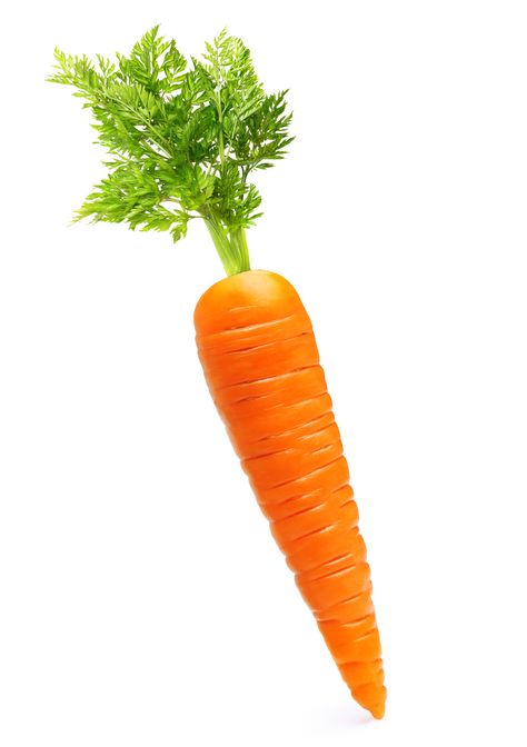 Carrot Drawing, Carrot Vegetable, Healthy And Unhealthy Food, Baby Apps, Adopt Idea, Creative Activities For Kids, Unhealthy Food, Food Drawing, Creative Activities