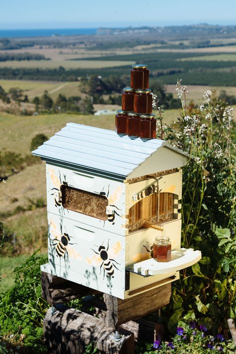 Painted Bee Hives Ideas, Flow Hive Painting Ideas, Flow Hive Beekeeping, Beehive Painting Ideas, Painting Bee Hives, Bee Hive House, Painted Bee Hives, Honey Bees Keeping, Bee Hives Boxes