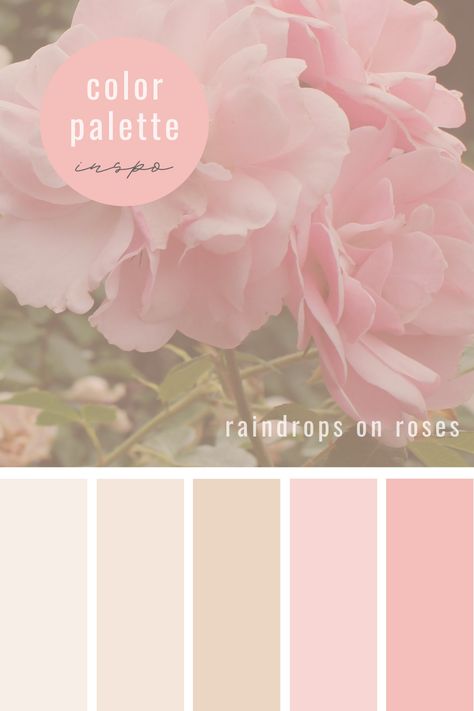 Pink White Cream Color Palette, Soft Girl Color Palette, Elegant Pink Color Palette, Expensive Color Palette, Pink And Cream Color Palette, Pink Neutral Color Palette, Pink And White Color Palette, Pink 2025, Soft Pink Color Palette