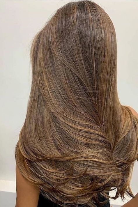 Brown Hair Inspo, Brunette Hair With Highlights, Brown Hair Balayage, Black Hairstyles, Brown Blonde Hair, Hair Inspiration Color, Hair Inspo Color, Light Hair, Light Brown Hair