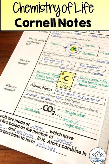 Cornell notes are perfect for interactive notebooks! This effective note-taking method can be used to teach atoms, molecules, and basic chemistry! Teaching Biology Activities, Notes For Biology, Biology Interactive Notebook, Biology Lesson Plans, Basic Chemistry, Atoms And Molecules, Social Studies Notebook, Study Chemistry, Chemistry Classroom