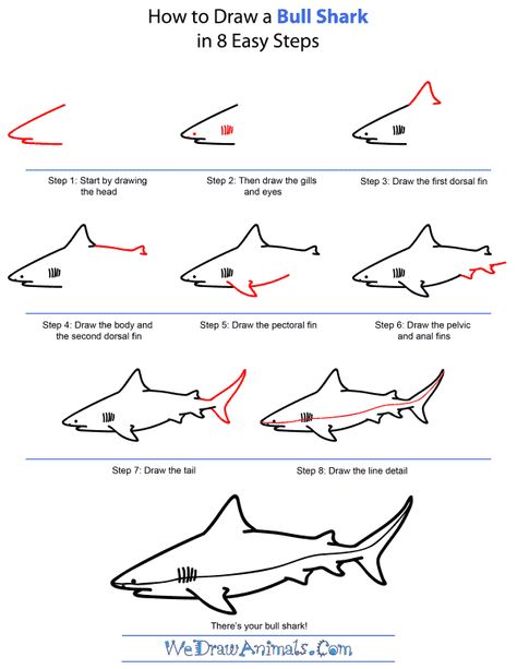 Free How To Draw A Shark, Download Free Clip Art, Free Clip Art on Clipart Library How To Draw A Shark Step By Step, Bull Shark Drawing, Shark Drawing Step By Step, Shark Crafts, Cartoon Bull, Painting Learning, Art For Kids Hub, Sea Drawing, Shark Drawing