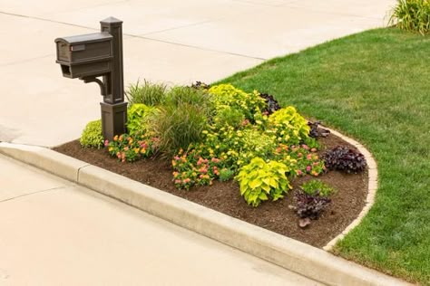 Mailbox Plants, Mailbox Curb Appeal, Mailbox Landscape, Mailbox Garden, Mailbox Landscaping, Mailbox Ideas, Mailbox Design, Small Front Yard Landscaping, Small Front Yard