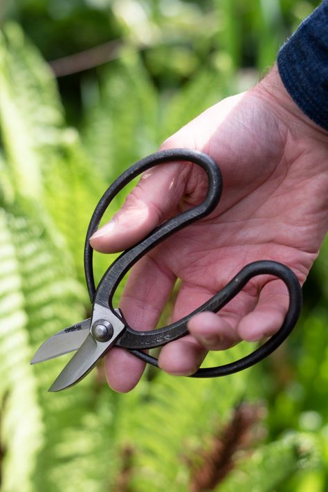 Gardening Scissors, Mack Attack, Flower Scissors, Scissors Hand, Garden Scissors, Garden Shears, Camellia Oil, Hand Flowers, Flower Arranging