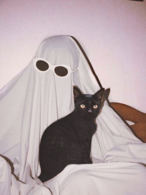 Cats In Ghost Costumes, Fall Cat Photoshoot, Sheet Ghost Pfp, Cat Halloween Photoshoot, Opposites Aesthetic, Cat Ghost Costume, Halloween Profile Pictures, Cat Photoshoot Ideas, Halloween Costumes For Cats