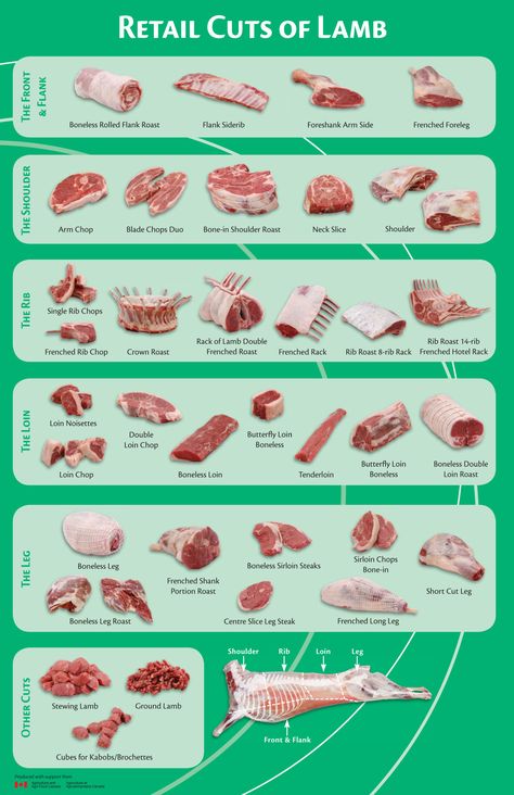 Breaded Fish Recipe, Lamb Cuts, Food Vocabulary, Mutton Recipes, Lamb Dishes, Lamb Roast, Food Charts, Rib Roast, Beef Cuts