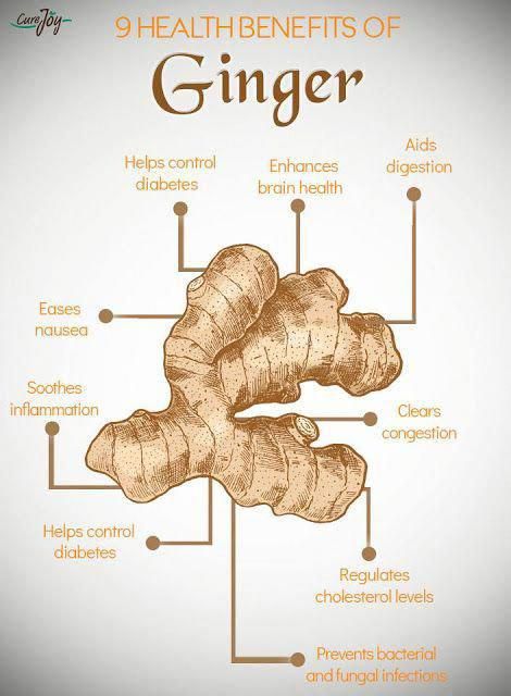 elisadr Lnk.Bio · link in bio - Profile and social media links for elisadr Benefits Of Ginger, Health Benefits Of Ginger, Food Health Benefits, Ginger Benefits, Home Health Remedies, Health And Fitness Articles, Herbs For Health, Natural Health Tips, Health Knowledge