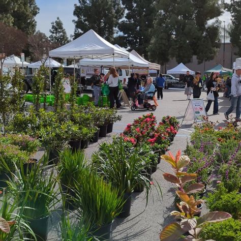 Burbank Farmers Market in Burbank, California Burbank California, Magnolia Park, Universal Studios Hollywood, Hollywood Sign, Walt Disney Studios, Studio Tour, Nature Center, Green Space, Hidden Gem