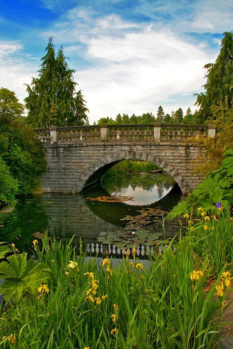 Willowbrook Park: Building Bridges... Bridge Over Pool, Pond Bridge, Windmill Water, Build A Bridge, Pool Pond, Old Bridges, Building Bridges, Storybook Homes, Dry Stone