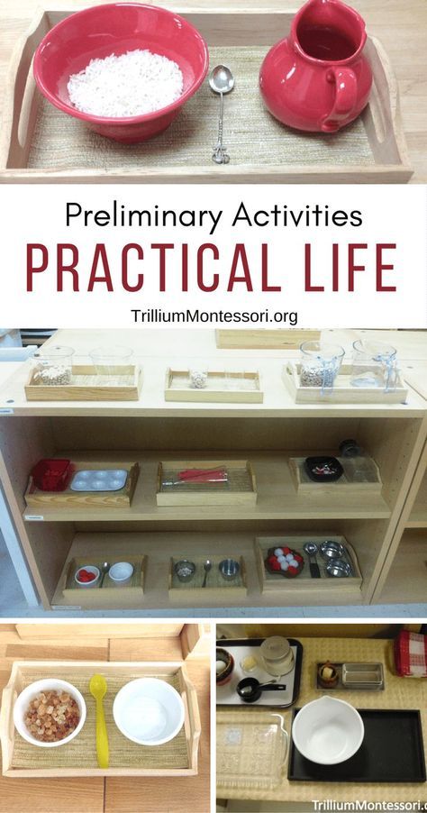 Montessori Preliminary Practical Life Activities Montessori October Practical Life, Practical Life Exercises Montessori, Montessori Classroom Practical Life, Cgs Practical Life, Montessori Practical Life 2-3, Epl Activities Montessori, Montessori Practical Life 3-6, Practical Life Activities For Toddlers, Practical Life Montessori