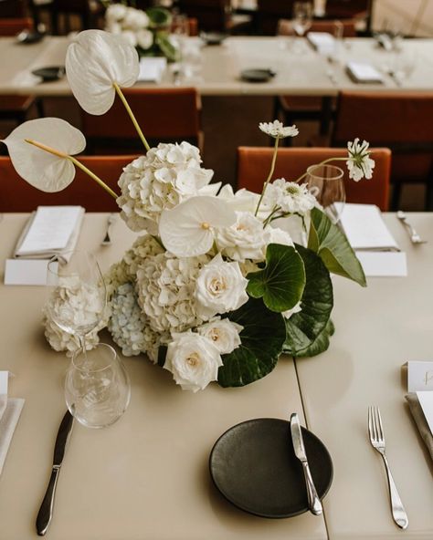 White Floral Centerpieces, White Floral Arrangements, Green Centerpieces, White Flower Arrangements, Modern Wedding Flowers, White Centerpiece, Wedding Table Flowers, Elegant Centerpieces, Floral Arrangements Wedding