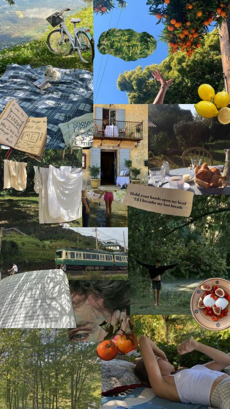 wallpaper collagw of sufjan stevens summer aesthetic, cmbyn vibes and pictures, swimming by the lake, reading by the lake, summer shades, greenery, summer breeze. summer trees and summer fruits Sufjan Stevens Wallpaper, Northern Italy Aesthetic 1983, Cmbyn House, Sufjan Stevens Aesthetic, Cmbyn Wallpaper, Northern Italy Aesthetic, Sufjan Stevens Summer, Cmbyn Summer, Cmbyn Aesthetic