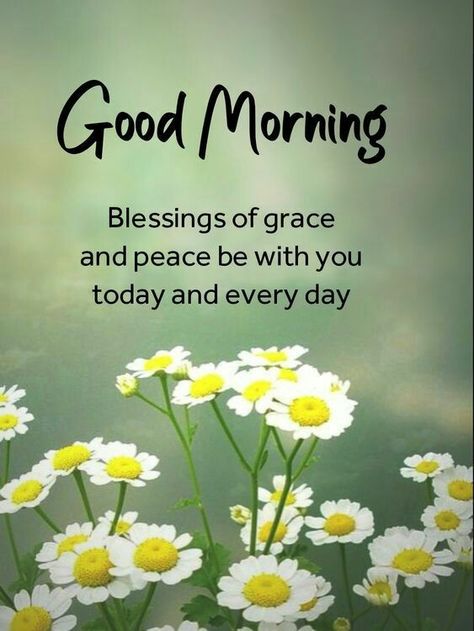 Good Morning Motivational Quotes, Inspirational Morning Prayers, Ladybug Quotes, Sweet Good Morning Images, Blessed Morning Quotes, Good Morning Wishes Friends, Good Morning Image, Morning Board, Good Morning Funny Pictures