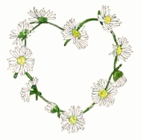 Daisy chain heart tattoo idea <3 Daisy Chain Knee Tattoo, Daisy Heart Tattoo, Chain Tattoos, Flowers Reference, Daisy Chain Tattoo, Daisy Tattoos, Daisy Flower Tattoos, Jean Art, Cow Tattoo