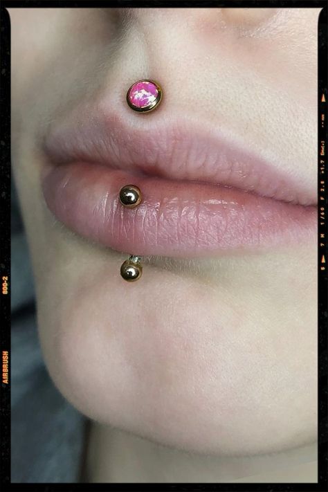 Medusa and Labret Piercing Ideas Medusa And Lip Piercing, Vertical Nose Tip Piercing, Vertical Labret And Medusa, Medusa Piercing Small Lips, Medusa And Vertical Labret Piercing, Medusa Piercing Scar, Medusa Piercing Aesthetic, Medusa Lip Piercing, Piercing Medusa