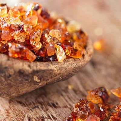 Edible Gum, Bladder Health, Acacia Gum, State Foods, Acacia Tree, Food Additives, Wellness Recipes, Food System, Gum Arabic