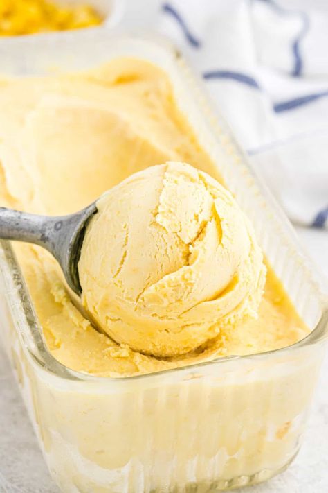 This creamy and rich ice cream is made with sweet summer corn, vanilla and rich sour cream creating the perfect smooth texture. Apricot Ice Cream, Pumpkin Ice Cream Recipe, Corn Ice Cream, Pumpkin Ice Cream, Mango Ice Cream, Dessert Aux Fruits, Coconut Ice Cream, Summer Ice Cream, Cold Treats