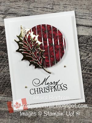 Christmas Scent, Boughs Of Holly, Poinsettia Cards, Stamped Christmas Cards, Homemade Christmas Cards, Christmas Favors, Stampin Up Christmas Cards, Paper Trail, Frame Card