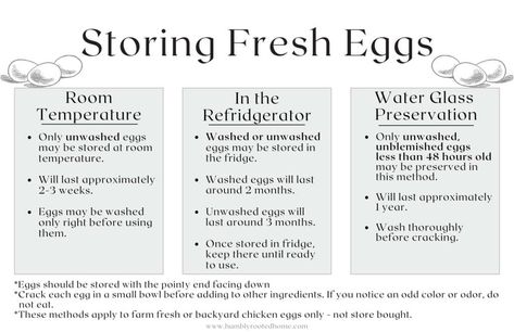 How to Store Your Backyard Chicken Eggs (With Printable Chart) Egg Production Chart, Egg Chart, Egg Business, Egg Facts, Chicken Snacks, Chicken Signs, Chicken Life, Backyard Chicken Farming, Chicken Health