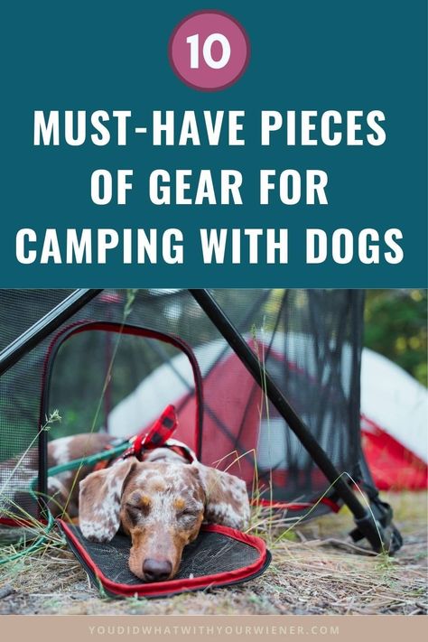 Dog Camping Gear, Camping With Dogs, Essential Camping Gear, Camping Set Up, Best Camping Gear, Camping Set, Camping Guide, Dog Camping, Dog Hacks