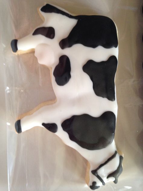 Cow cookie Cookies Board, Govardhan Puja, Cow Cookies, Frosted Cookies, Farm Cookies, Cow Cakes, Holstein Cow, Sugar Cookie Icing, Themed Cookies