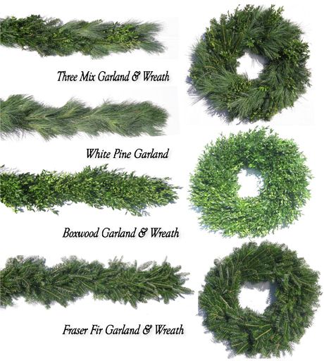 White Pine Garland, Boxwood Garland, National Christmas Tree, Leyland Cypress, Fraser Fir, Pine Garland, Christmas Tree Garland, Tree Garland, Blue Spruce