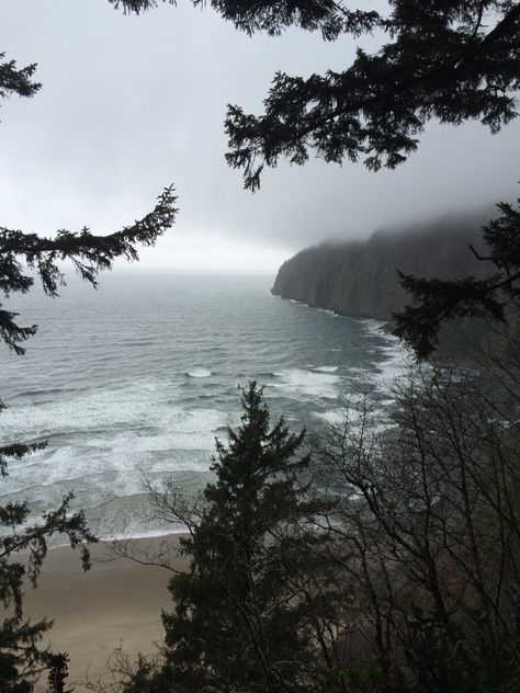 Foggy Ocean, Emily Brontë, Foggy Day, Mary Shelley, Fire And Blood, Nature Aesthetic, Pretty Places, Ocean View, Mother Earth