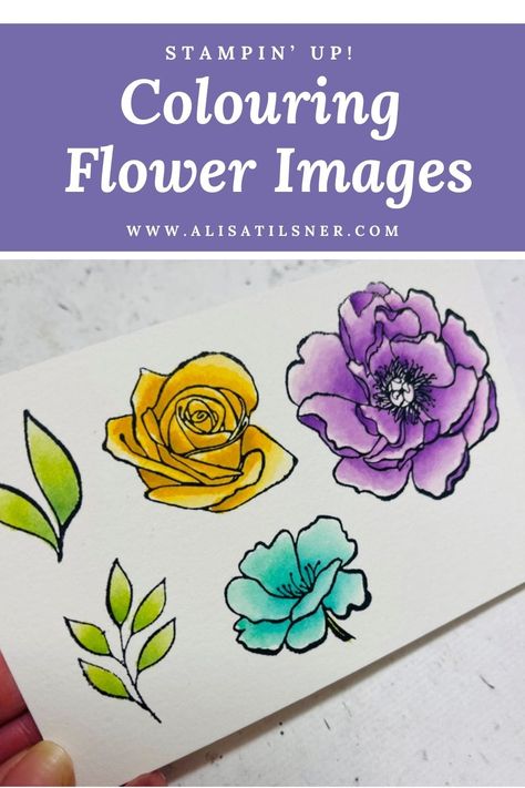 See how I've coloured the flower images from the Happiness Abounds Stamp Set. You can even colour along with me! Su Happiness Abounds Stamp Set, Stampin Up Happiness Abounds Card Ideas, Happiness Abounds Stampin Up Cards, Stampin Up Happiness Abounds, Colouring Tutorial, Happiness Abounds, Coloring Techniques, Homemade Birthday, Homemade Birthday Cards