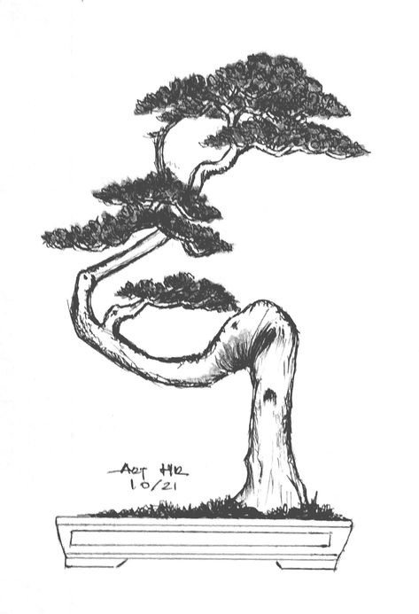 Bonsai Sketch, Bonsai Drawing, Art Fil, Bonsai Art, Sketches Simple, Ukiyo E, Tat Ideas, Flower Drawing, Garden Design